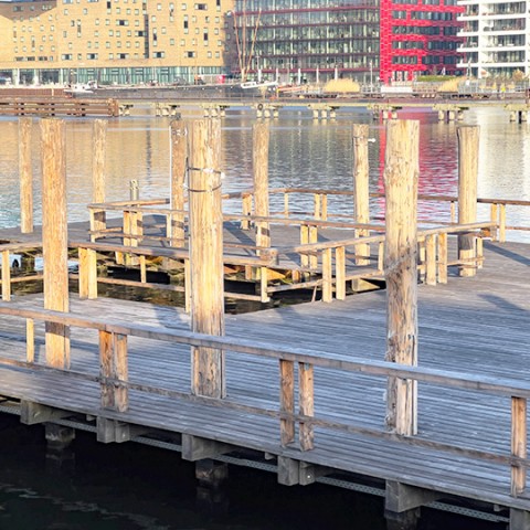 Fläche des Stegs am Badeschiff
