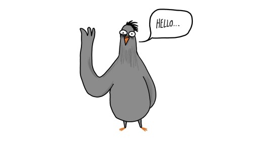 The Pigeon of the Comic A Pigeon’s Tale, saying Hello