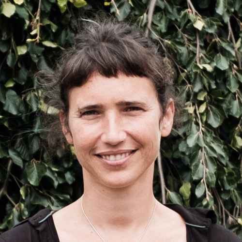 Ariane Krause