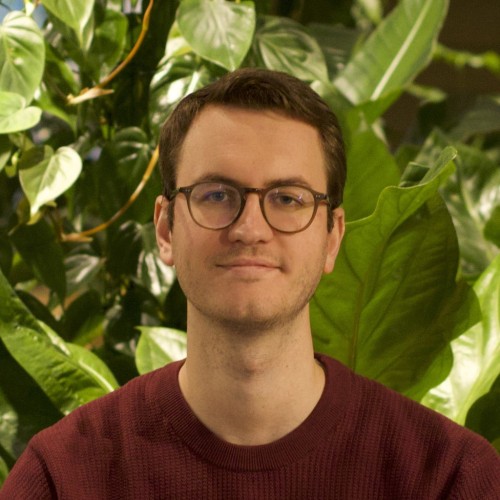 portrait picture