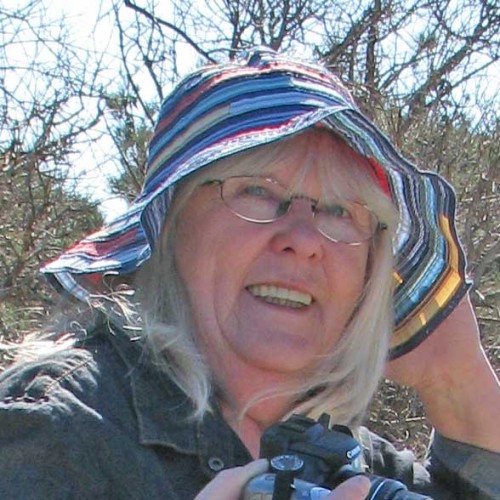 Claudia Klinger